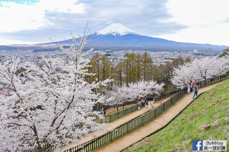 Arakurayama Sengen Park-54