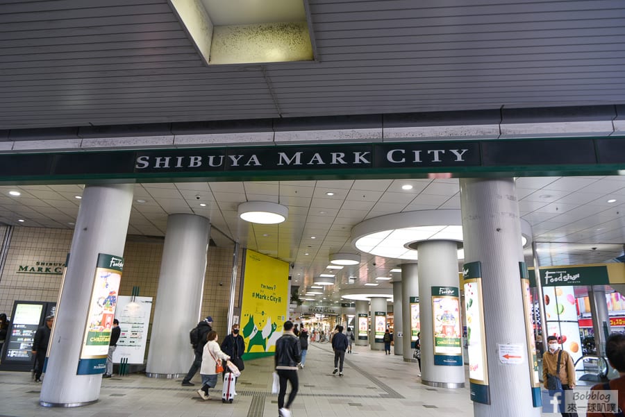 shibuya-station-8