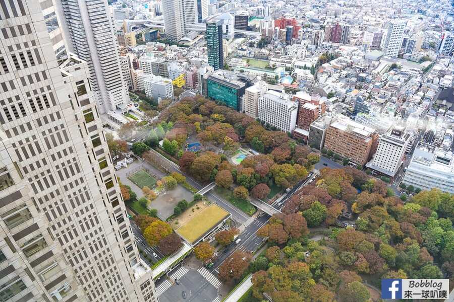 The-New-Tokyo-City-Hall-12
