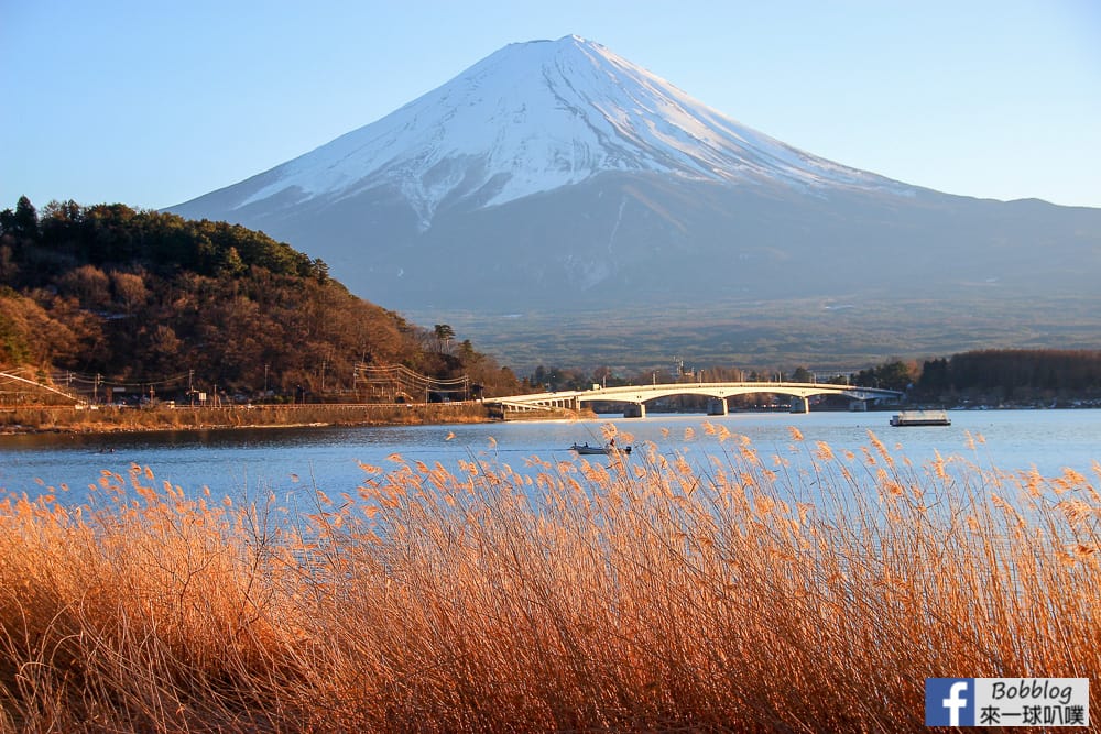 延伸閱讀：河口湖北岸散步看富士山與河口湖美景|春天賞櫻、秋天賞楓