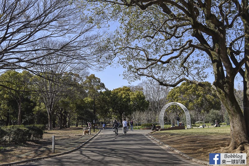 Yoyogi Park sakura 2