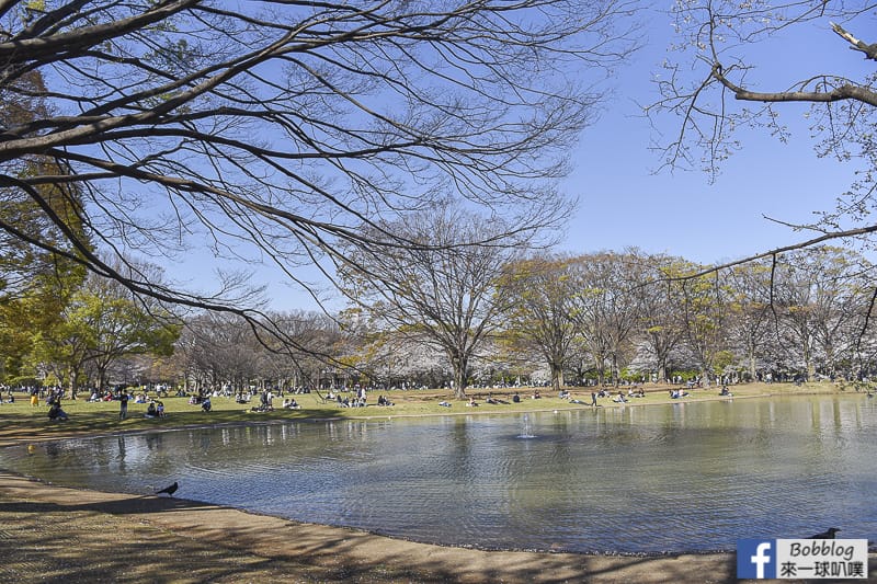 Yoyogi Park sakura 29