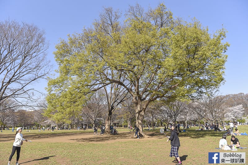 Yoyogi Park sakura 32