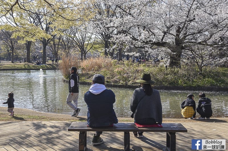 Yoyogi Park sakura 54