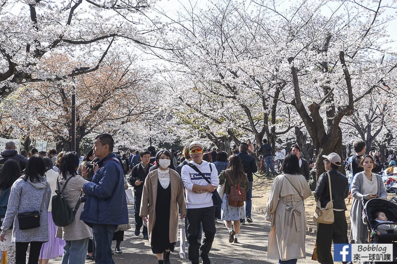 Yoyogi Park sakura 7