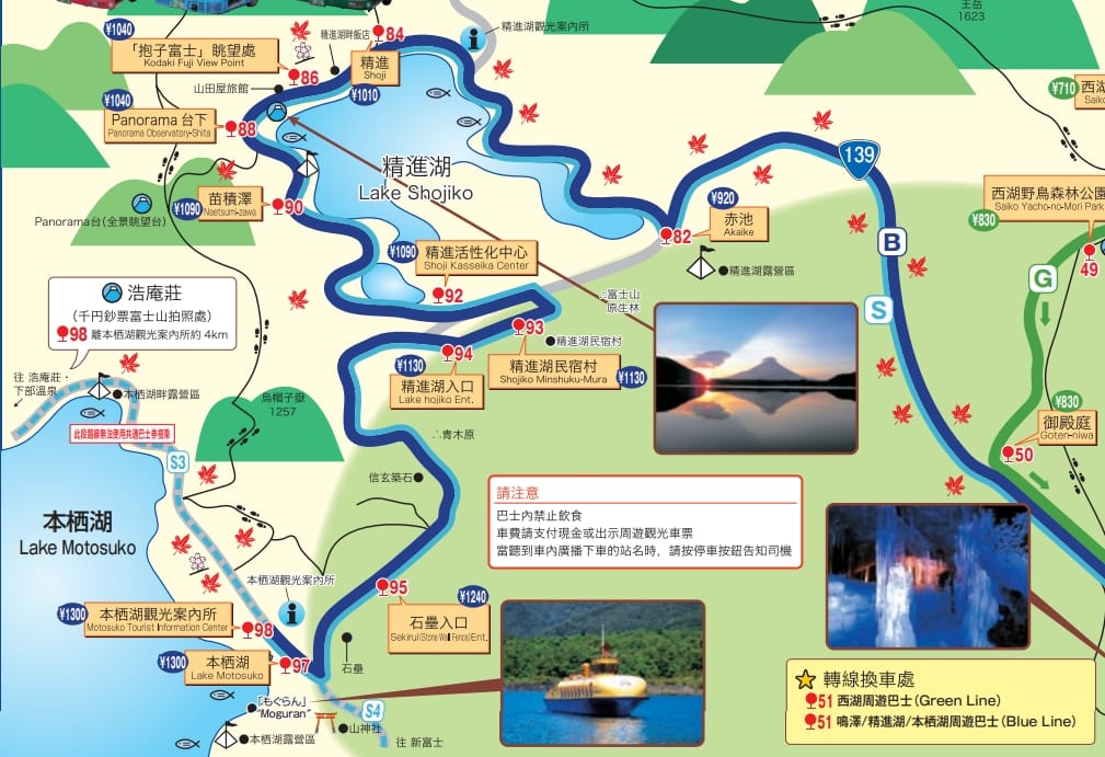 富士五湖賞楓景點整理、河口湖楓葉季、交通整理