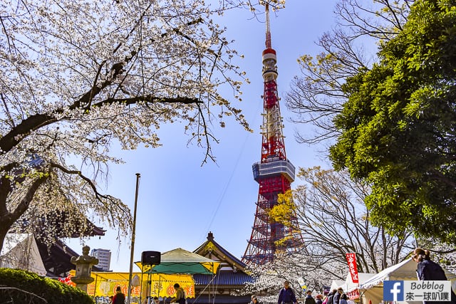 東京增上寺,芝公園櫻花(拍東京鐵塔與寺廟結合的絕佳景點) @來一球叭噗日本自助攻略