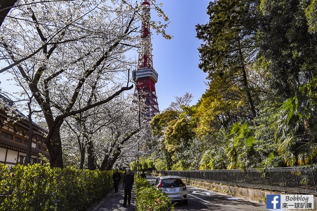 東京增上寺,芝公園櫻花(拍東京鐵塔與寺廟結合的絕佳景點) @來一球叭噗日本自助攻略