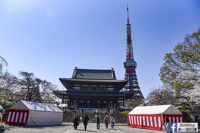 東京增上寺,芝公園櫻花(拍東京鐵塔與寺廟結合的絕佳景點) @來一球叭噗日本自助攻略