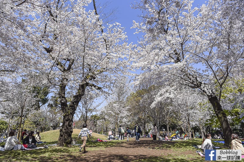 Asukayama park 11
