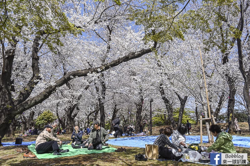 Asukayama park 31