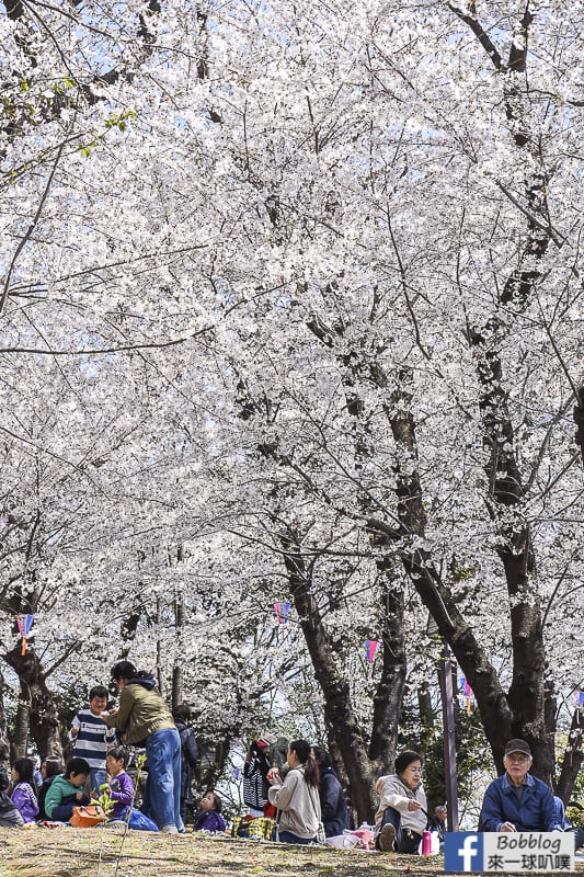 Asukayama park 33