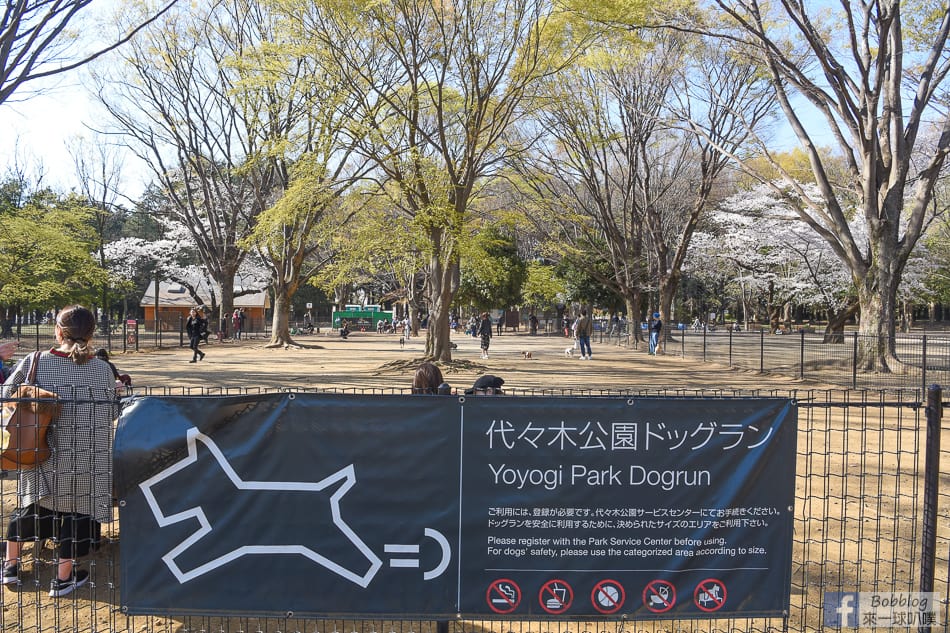 Yoyogi-Park-20