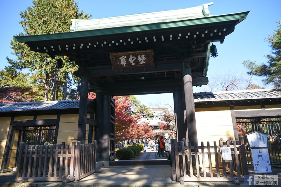 gotokuji-temple-15