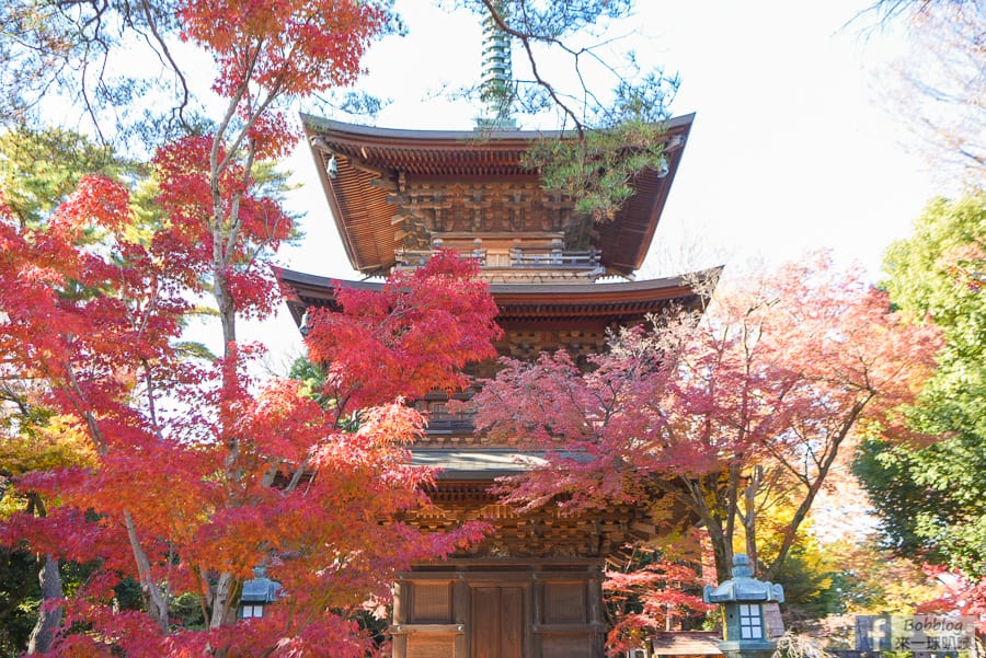 gotokuji-temple-22