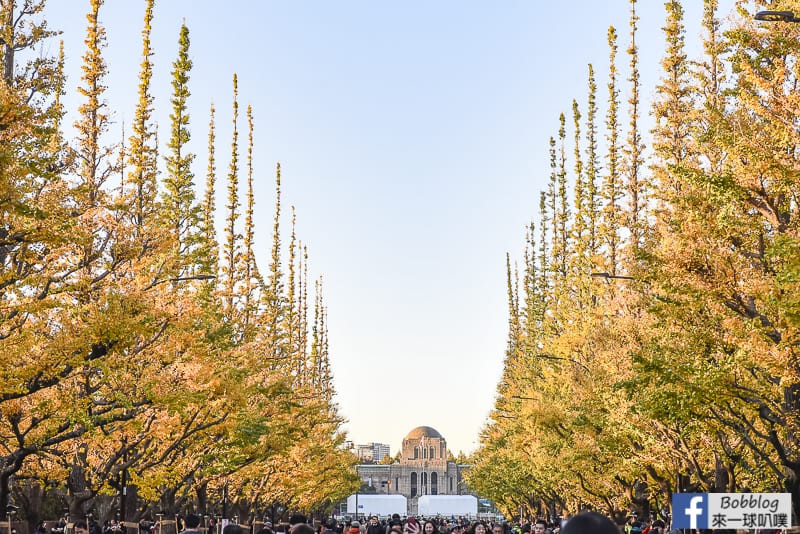Meijijingu gaien ginkgo tree 8