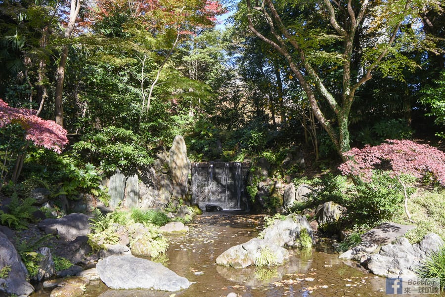 koishikawa-korakuen-garden-28