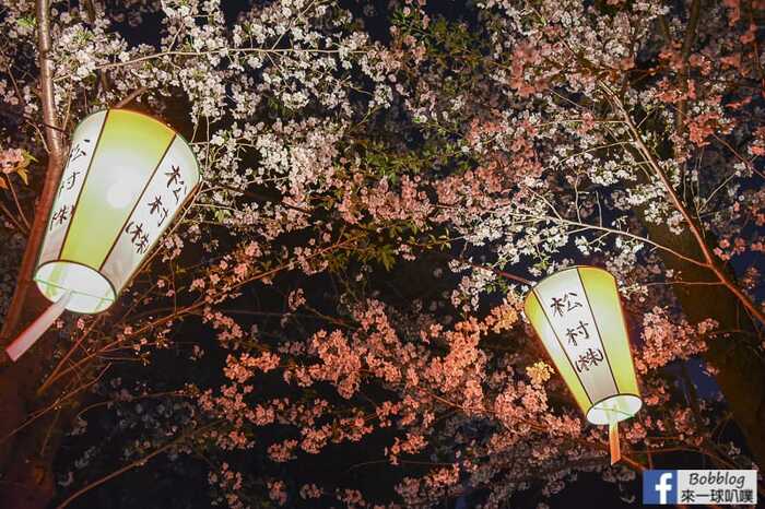 Ueno Park night sakura 18
