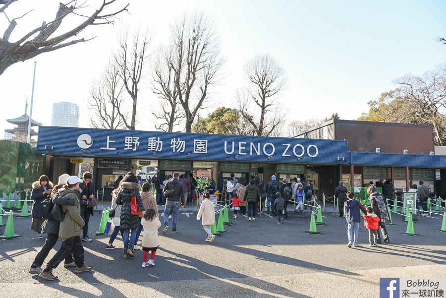 延伸閱讀：東京上野親子景點|上野動物園動物看到飽、上野恩賜公園散步