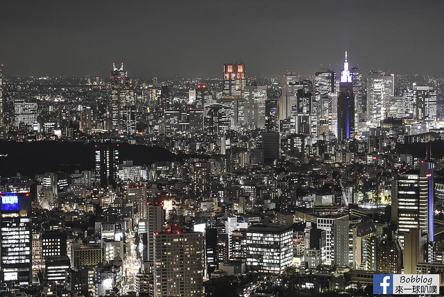 六本木之丘森大樓 東京城市觀景展望台+ SKYDECK屋上展望台-39