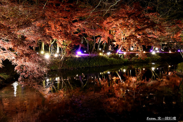 大覺寺夜楓-真紅の水鏡29