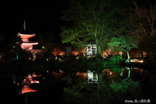 大覺寺夜楓-真紅の水鏡11