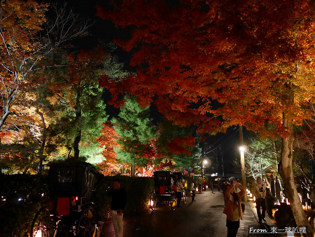 京都嵐山一日遊行程(20個嵐山景點、5種嵐山交通方式、大街美食)