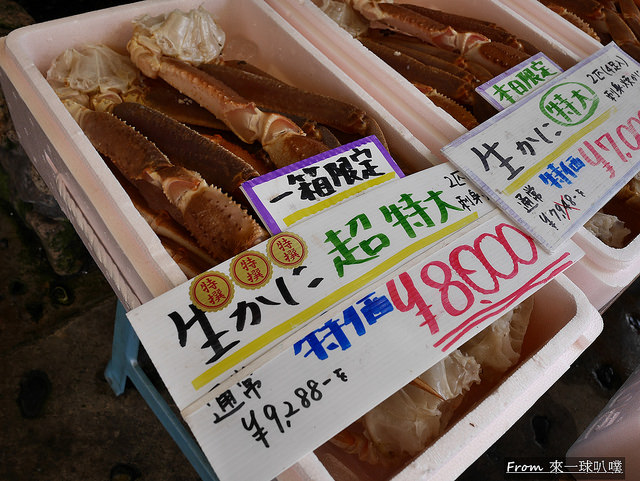 城崎溫泉松葉蟹-いなば鮮魚08