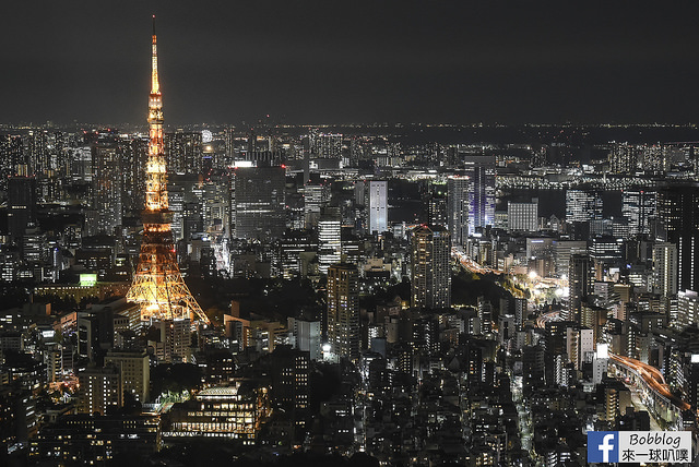 六本木之丘森大樓 東京城市觀景展望台+ SKYDECK屋上展望台-52
