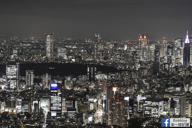 六本木之丘森大樓 東京城市觀景展望台+ SKYDECK屋上展望台-40